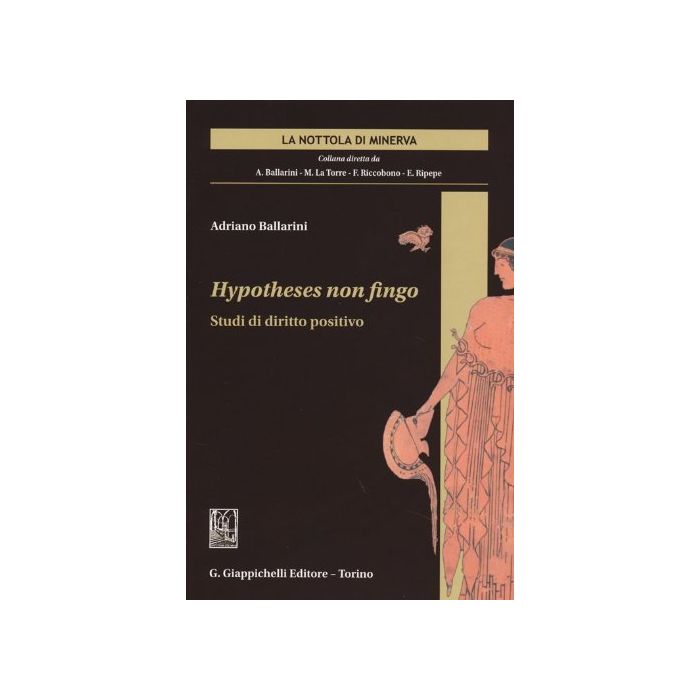 Hypotheses Non Fingo. Studi Di Diritto Positivo - Ballarini Adriano - Giappichelli - 9788834872963
