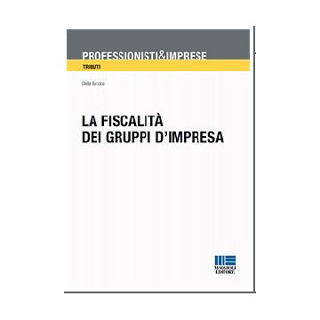 La tassazione dei gruppi d'impresa