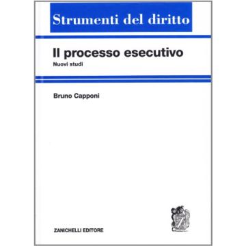 Il Processo Esecutivo. Nuovi Studi 
