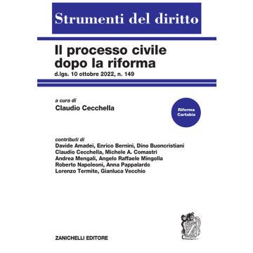Il processo civile dopo la riforma. D.lgs. 10 ottobre 2022, n. 149 (Riforma Cartabia)