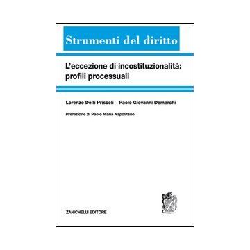 L' Eccezione Di Incostituzionalita': Profili Processuali 