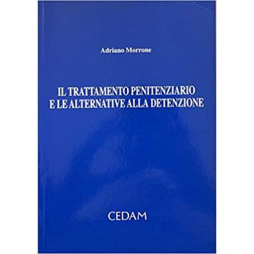 Il trattamento penitenziario e le alternative alla detenzione