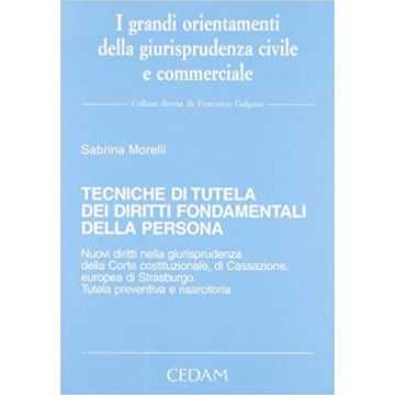 Tecniche di tutela dei diritti fondamentali della persona. Nuovi diritti nella giurisprudenza della Corte costituzionale, di Cassazione, europea di Strasburgo...