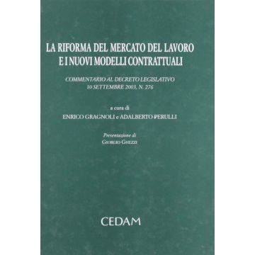 La riforma del mercato del lavoro e i nuovi modelli contrattuali. Commentario al Decreto legislativo 10 settembre 2003, n. 276