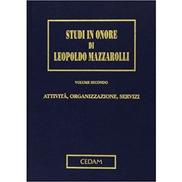 Attività, organizzazione, servizi. Studi in onore di Leopoldo Mazzarolli. Vol. 2