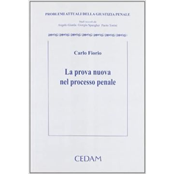La prova nuova nel processo penale. Problemi attuali della giustizia penale. Studi raccolti da Angelo Giarda, Giorgio Spangher, Paolo Tonini