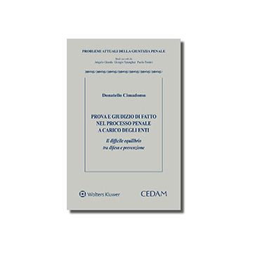 Prova e giudizio di fatto nel processo penale a carico degli enti. Il difficile equilibrio tra difesa e prevenzione
