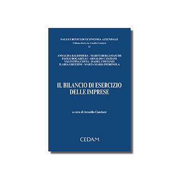 Il bilancio d'esercizio delle imprese