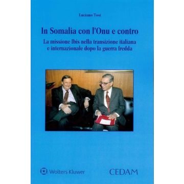 In Somalia con l'ONU e contro. La missione Ibis nella transizione italiana e internazionale dopo la guerra fredda