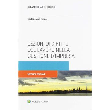 Lezioni di diritto del lavoro nella gestione d'impresa 2/ed.