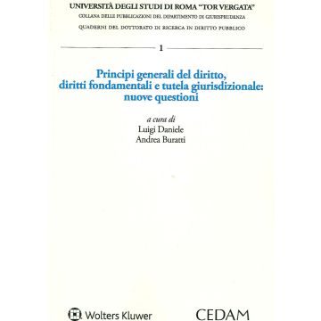 Principi generali del diritto. Diritti fondamentali e tutela giurisdizionale: nuove questioni