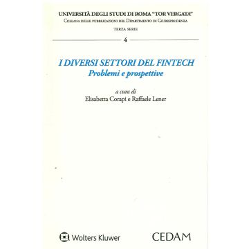 I diversi settori del FinTech. Problemi e prospettive