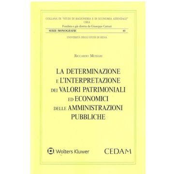 La determinazione e l'interpretazione dei valori patrimoniali ed economici delle P.A.