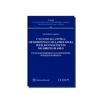 L'accesso alla tutela giurisdizionale nella procedura per il riconoscimento del diritto di asilo