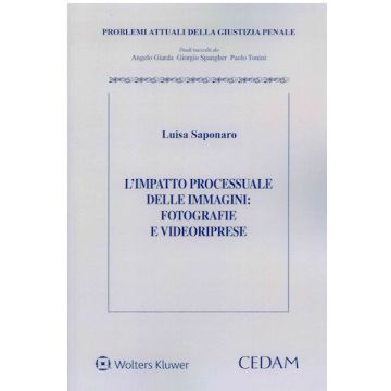 L'impatto processuale delle immagini: fotografie e videoriprese