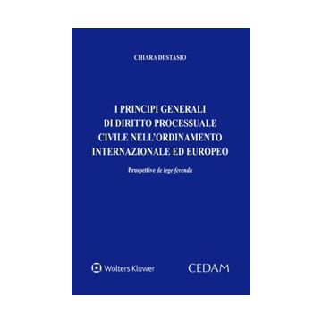 Principi generali di diritto processuale civile nell'ordinamento internazionale ed europeo