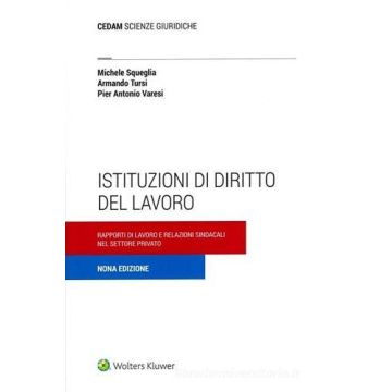 Istituzioni di diritto del lavoro. Rapporti di lavoro e relazioni sindacali nel settore privato 9/ed.