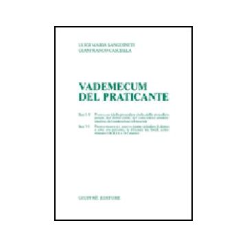 Vademecum Del Praticante - Sanguineti Luigi M.; Cascella Gianfranco - Giuffre' - 9788814096549