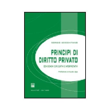 Principi Di Diritto Privato. Con Schemi Esplicativi E Interpretativi - Scicchitano Sergio - Giuffre' - 9788814116742