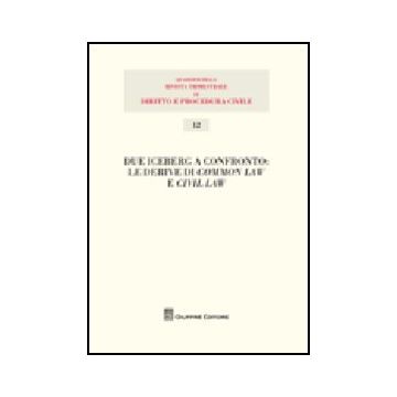 Due Iceberg A Confronto. Le Derive Del Common Law E Civil Law. Atti Del 20°  Seminario
