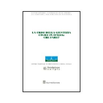 La Crisi Della Giustizia Civile In Italia. Che Fare? Atti Del Convegno  Dell'osservatorio «giordano Dell'amore» (milano, 14-15 Novembre 2008) 