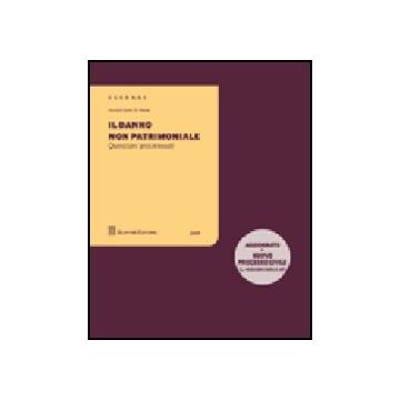 Il Danno Non Patrimoniale. Questioni Processuali 