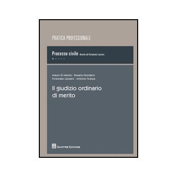 Il Giudizio Ordinario Di Merito 