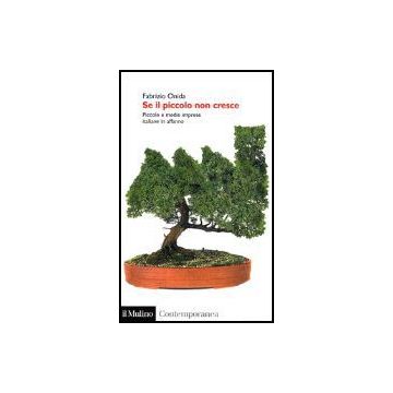 Se Il Piccolo Non Cresce. Piccole E Medie Imprese Italiane In Affanno - Onida Fabrizio - Il Mulino - 9788815097194
