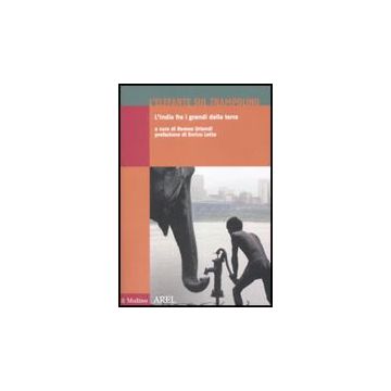 L' Elefante Sul Trampolino. L'india Fra I Grandi Della Terra  - Orlandi R.  - Il Mulino - 9788815131324