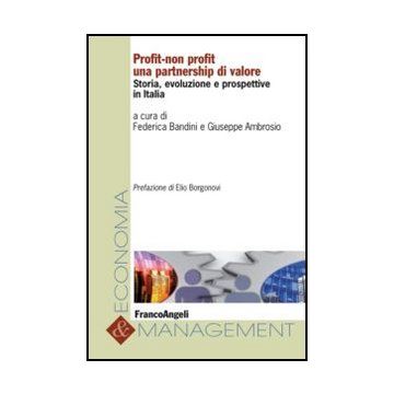 Profit-non profit una partnership di valore. Storia, evoluzione e prospettive in Italia