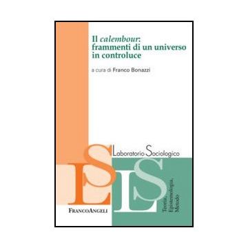 Il Calembour: Frammenti Di Un Universo In Controluce  - Bonazzi F.  - Franco Angeli - 9788820420819