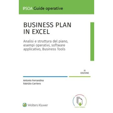 Business plan in Excel. Con software