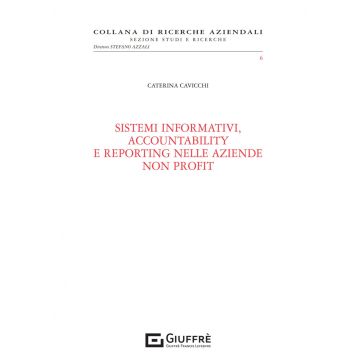 Sistemi informativi, accountability e reporting nelle aziende non profit
