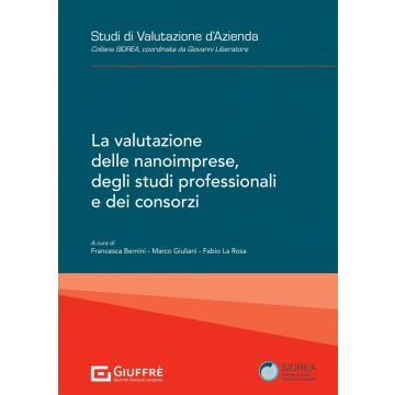 La valutazione delle nanoimprese, degli studi professionali e dei consorzi
