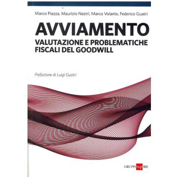 PIAZZA NASTRI VOLANTE AVVIAMENTO VALUTAZIONE E PROBLEMATICHE FISCALI DEL GOODWILL SOLE 24 ORE
