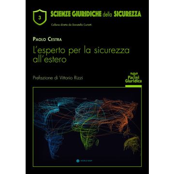 Esperto per la sicurezza all'estero