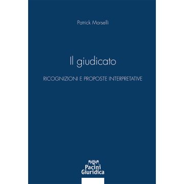 Il giudicato