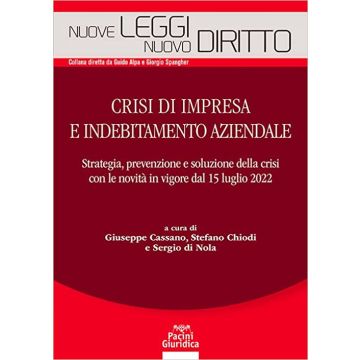 Crisi di impresa e indebitamento aziendale