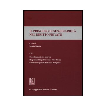 Il Principio Di Sussidiarieta' Nel Diritto Privato  Coordinamento Tra Imprese. Responsabilita' Patrimoniale Del Debitore. Soluzione Negoziale Delle Crisi D'impresa - Nuzzo M.  - Giappichelli - 9788834858882