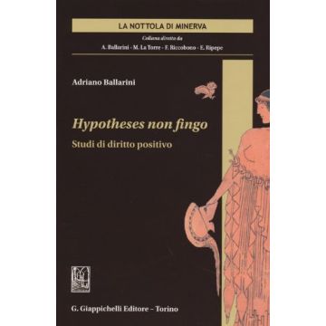 Hypotheses Non Fingo. Studi Di Diritto Positivo - Ballarini Adriano - Giappichelli - 9788834872963