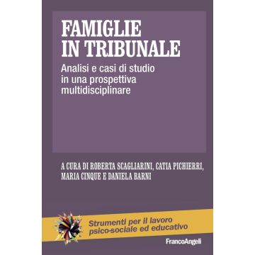 Famiglie in tribunale. Analisi e casi di studio in una prospettiva multidisciplinare