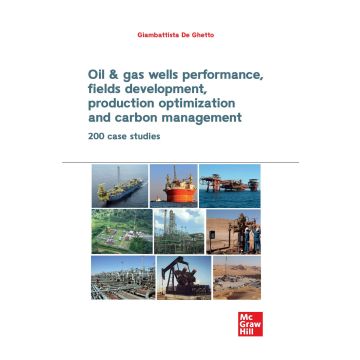 Oil & gas wells performance, fields development, production optimization and carbon management. 200 CASE STUDIES