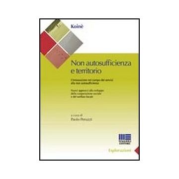 Non Autosufficienza E Territorio. L'innovazione Nel Campo Dei Servizi Alla Non Autosufficienza