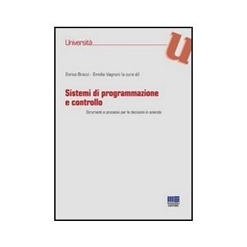 Sistemi Di Programmazione E Controllo. Strumenti E Processi Per Le Decisioni In Azienda