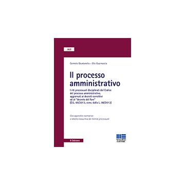 Il processo amministrativo