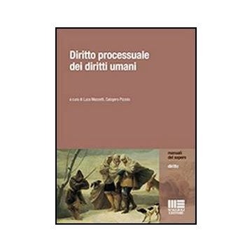 Diritto Processuale Dei Diritti Umani