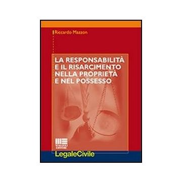 La Responsabilita' E Il Risarcimento Nella Proprieta' E Nel Possesso  Processuale 