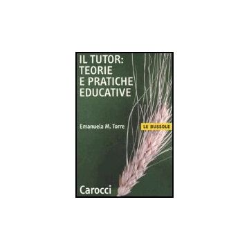 Il Tutor: Teorie E Pratiche Educative 
