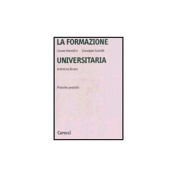 La Formazione Universitaria. Pratiche Possibili 
