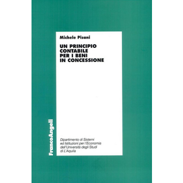 Un Principio Contabile Per I Beni In Concessione  - Pisani Michele - Franco Angeli - 9788846440556